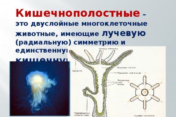 Кракен клир ссылка