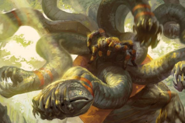 Kraken 6 at