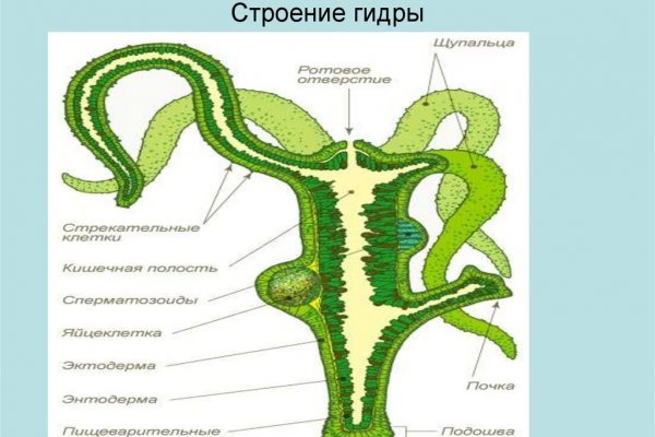 Кракен рабочая ссылка