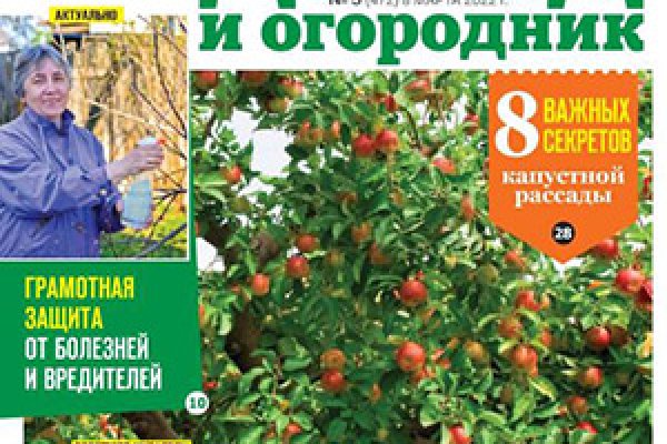 Какая сейчас ссылка на кракен