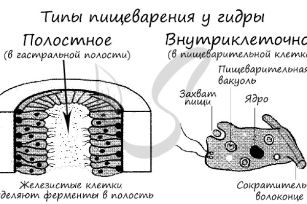 Кракен ссылка маркет