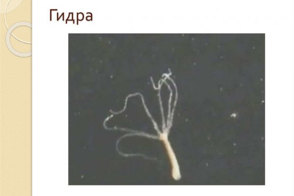 Kraken смылка