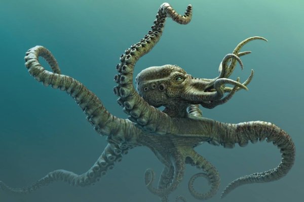 Kraken даркнет что это