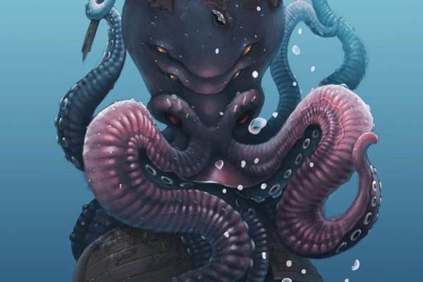 Kraken online