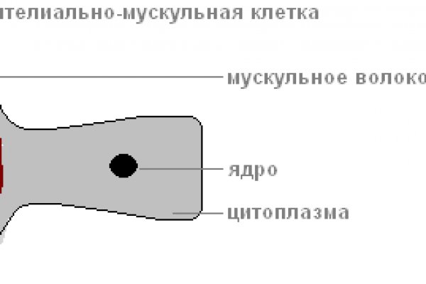 Гидра зайти кракен