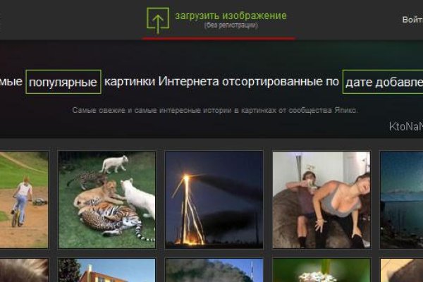 Ссылки кракен телеграф