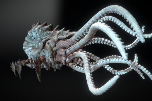 Kraken tor song
